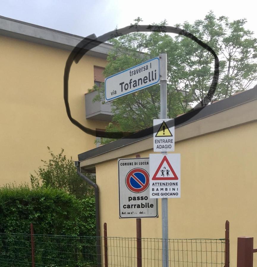Camera Con Bagno Privato E Parcheggio Lucca Eksteriør billede